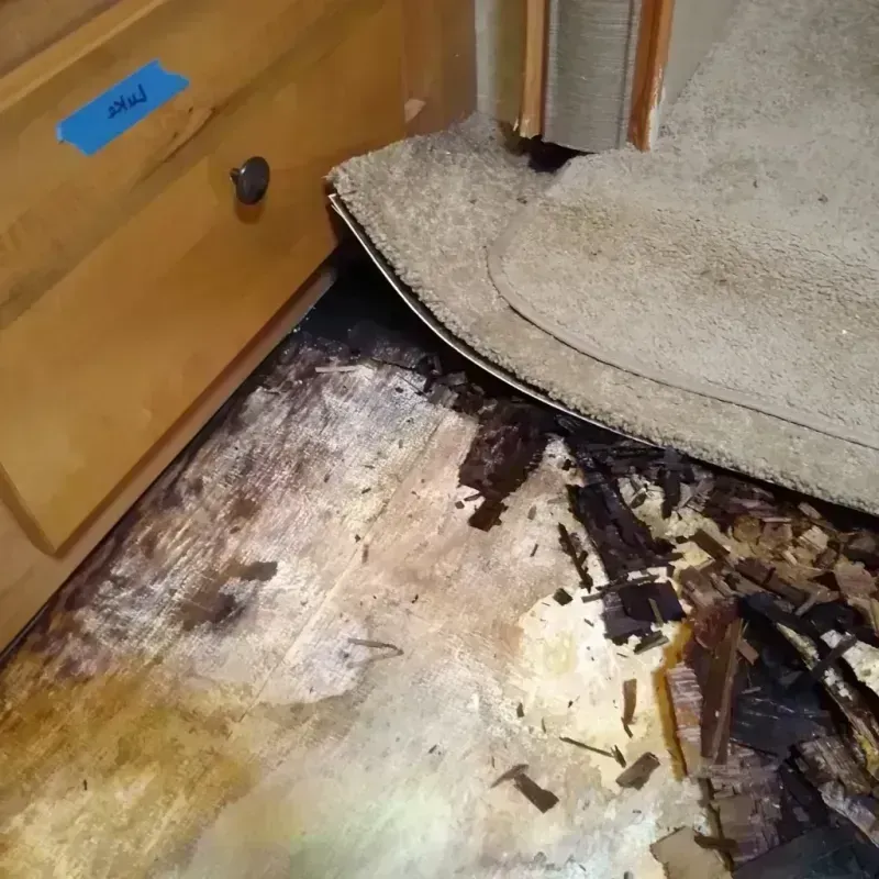 Best Wood Floor Water Damage Service in Baldwin, MI